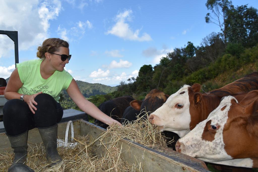 Nightingale Falls Farmstay Experience Thames Buitenkant foto