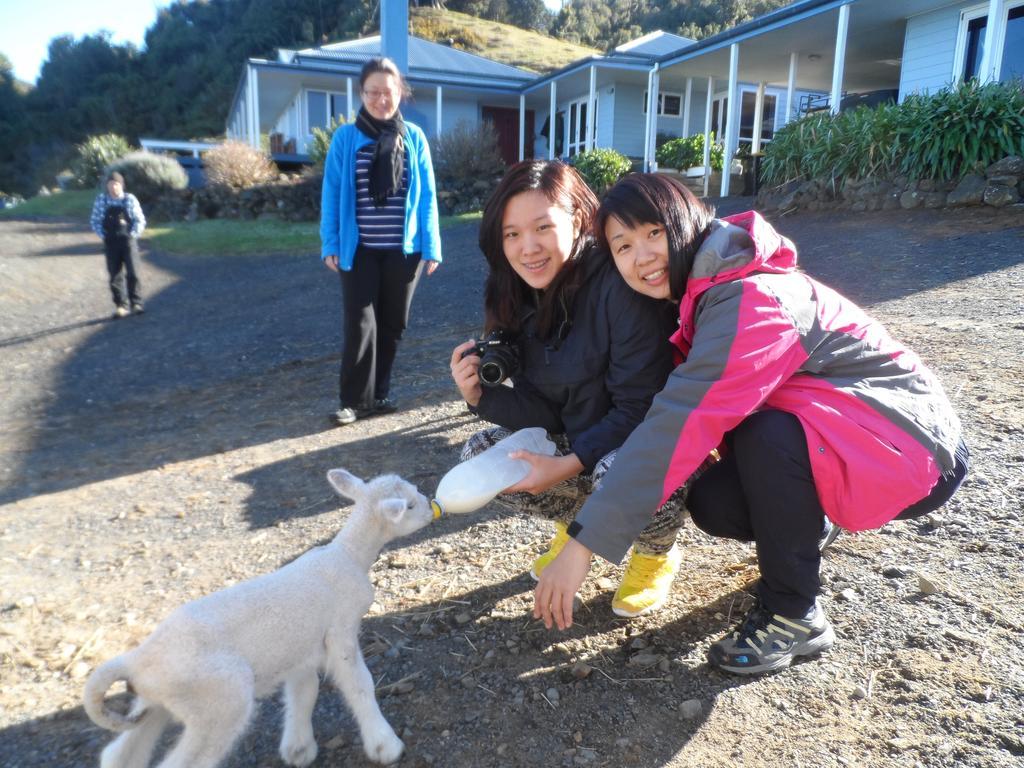 Nightingale Falls Farmstay Experience Thames Buitenkant foto