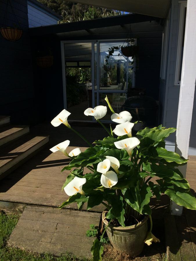 Nightingale Falls Farmstay Experience Thames Buitenkant foto