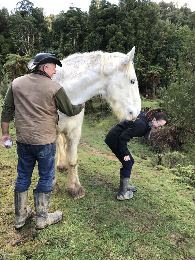 Nightingale Falls Farmstay Experience Thames Buitenkant foto