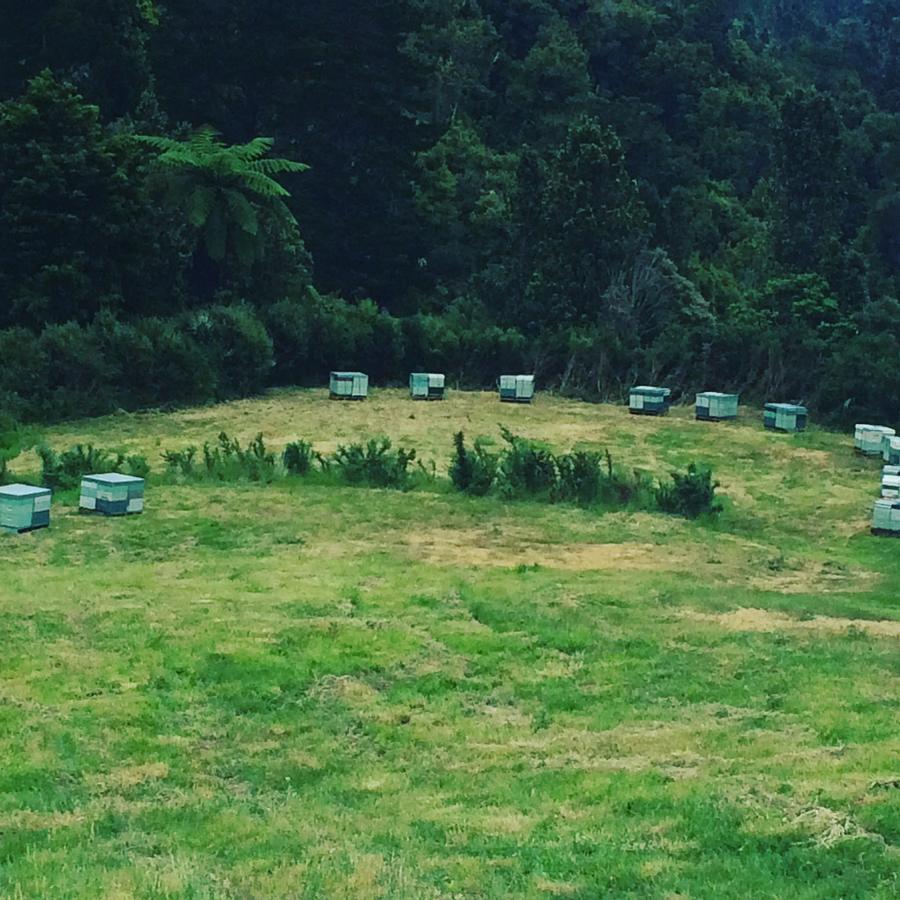 Nightingale Falls Farmstay Experience Thames Buitenkant foto