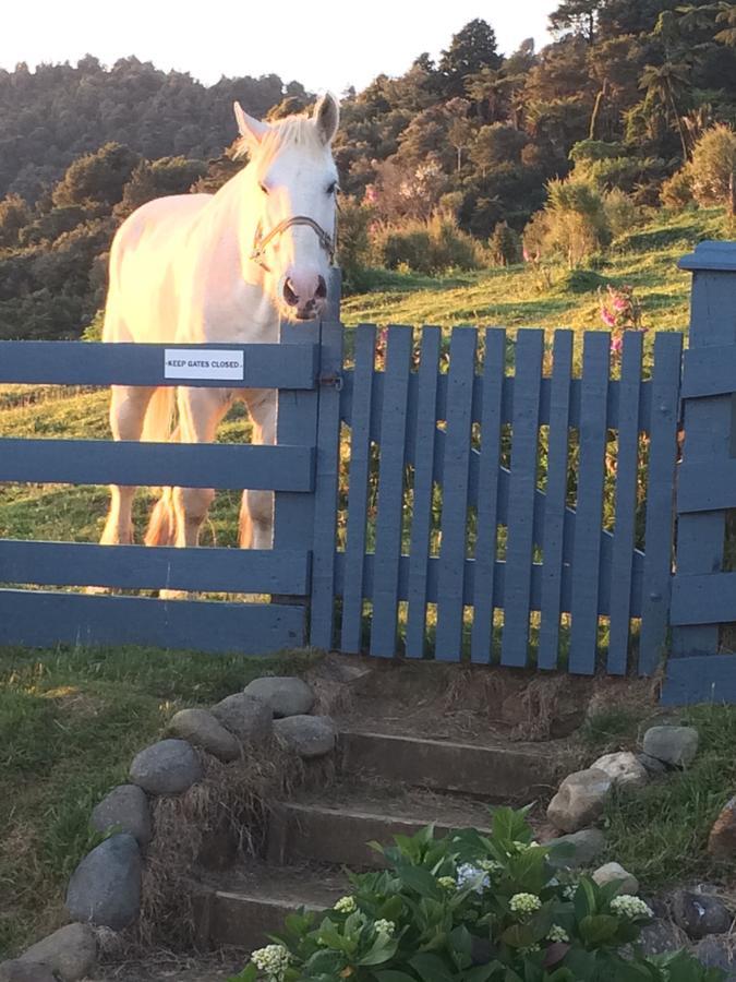 Nightingale Falls Farmstay Experience Thames Buitenkant foto