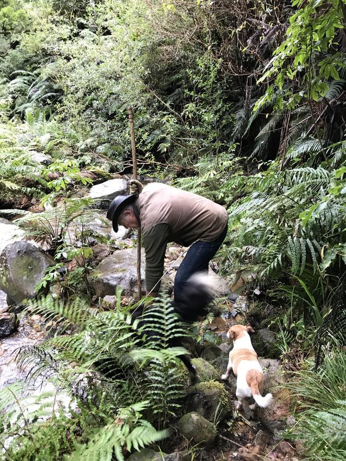 Nightingale Falls Farmstay Experience Thames Buitenkant foto