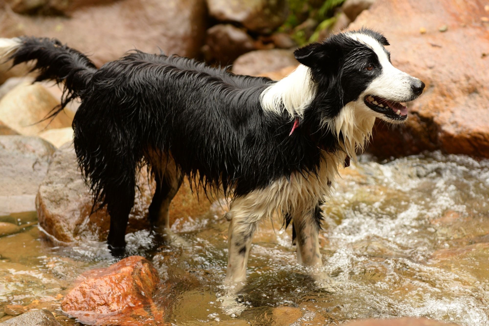 Nightingale Falls Farmstay Experience Thames Buitenkant foto