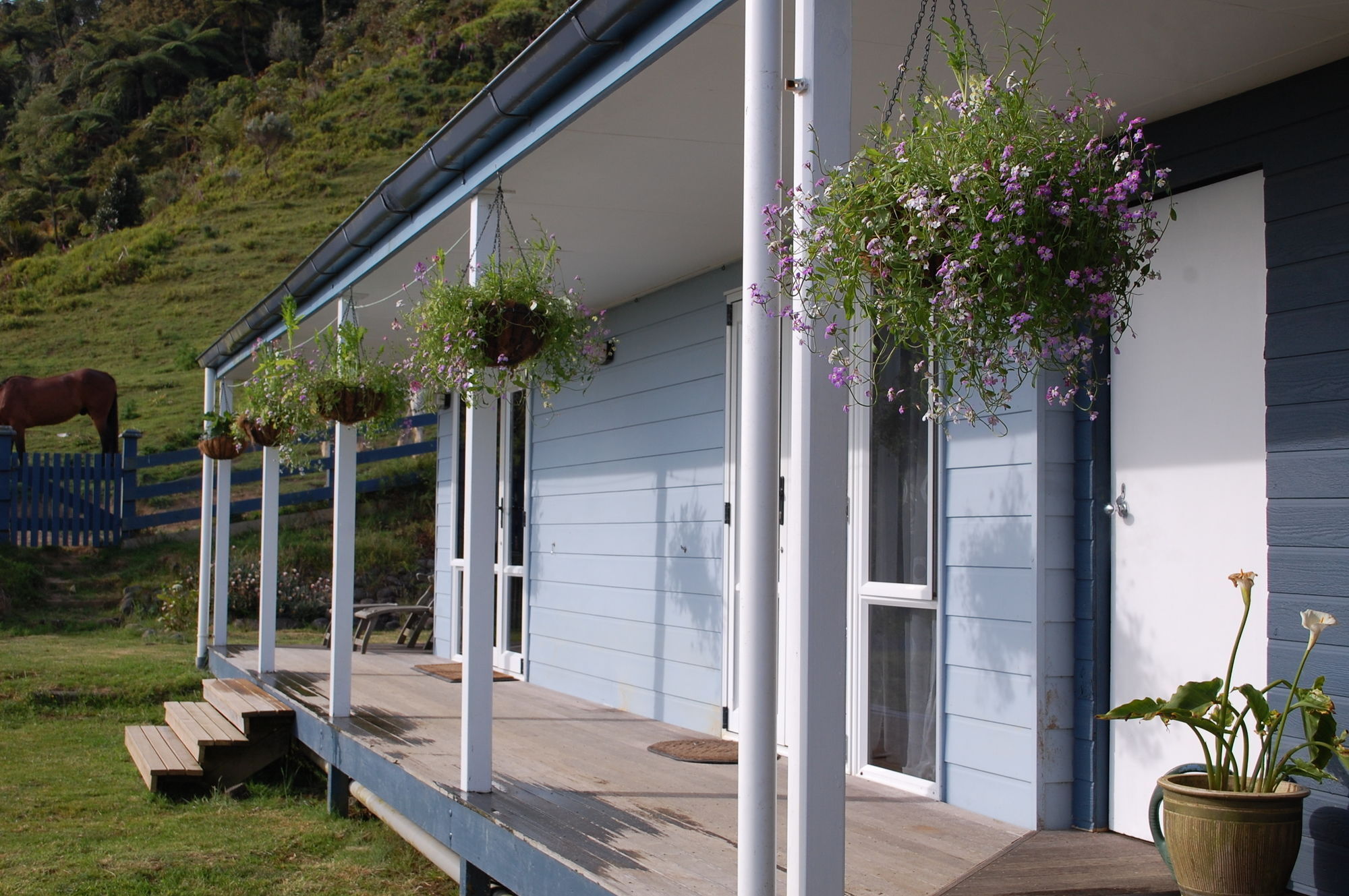 Nightingale Falls Farmstay Experience Thames Buitenkant foto